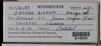Image Associated With the Occurence